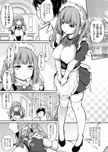 [あいらんどう] メイド雇ってみたらめちゃくちゃ感度がよかった
