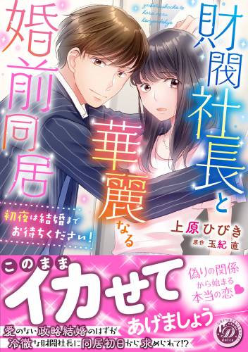 財閥社長と華麗なる婚前同居~初夜は結婚までお待ちください!~ 財閥社長と華麗なる婚前同居~初夜は結婚までお待ちください!~