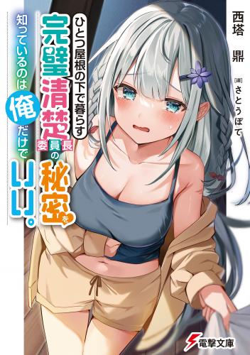 [Novel] ひとつ屋根の下で暮らす完璧清楚委員長の秘密を知っているのは俺だけでいい。 raw 第01巻