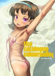 [tete a tete fragile (佐々原憂樹)] the catalogue colourpallet (オリジナル)