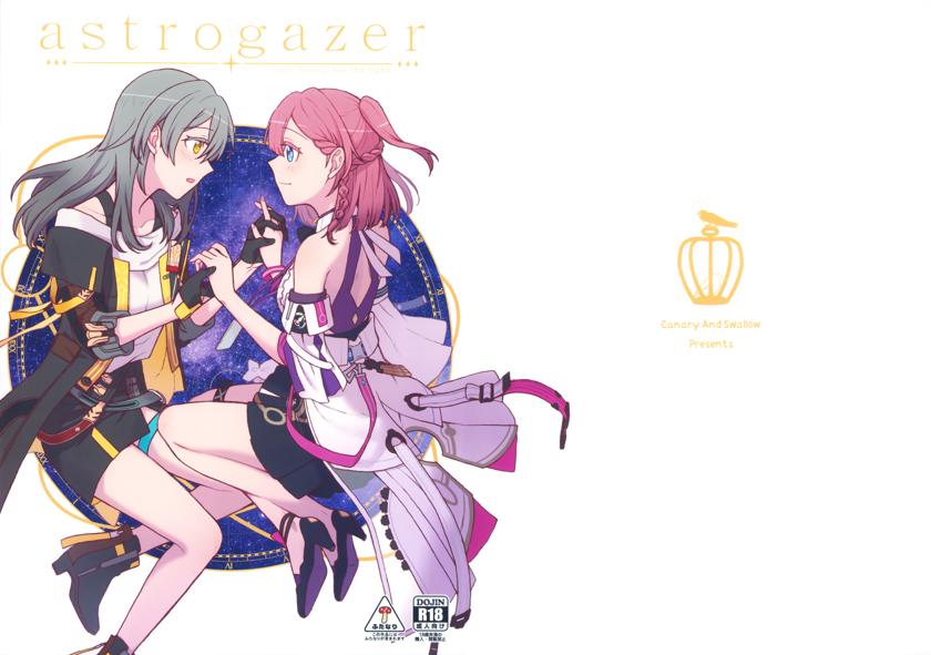 (C103) [カナリアとつばめ (はやかわトリノネ)] astrogazer (崩壊スターレイル)