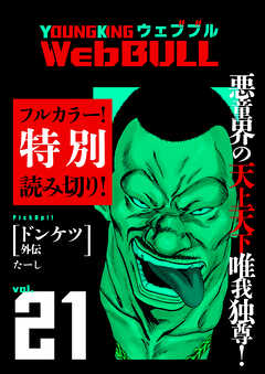 Web BULL 00-21号