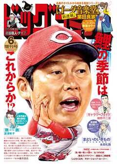 ビッグコミック増刊 2025年03-06月増刊号
